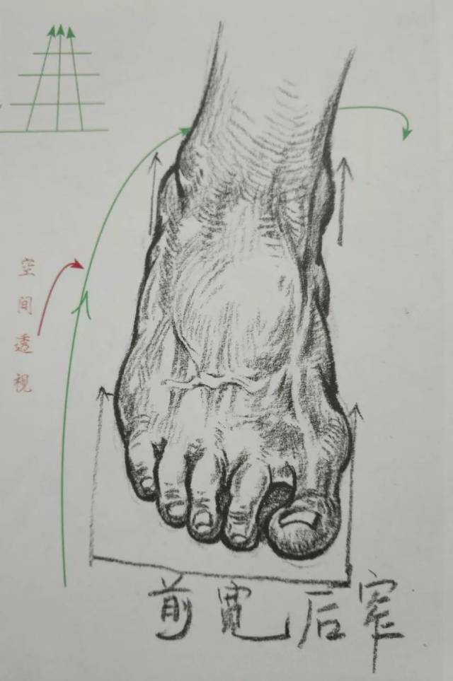 风塘画室速写入门秘籍