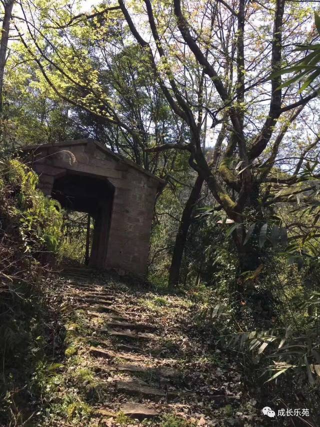 平阳有个传奇闹村,有景也有故事,现在来刚刚好!