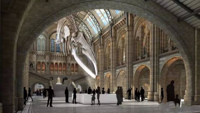 natural history museum