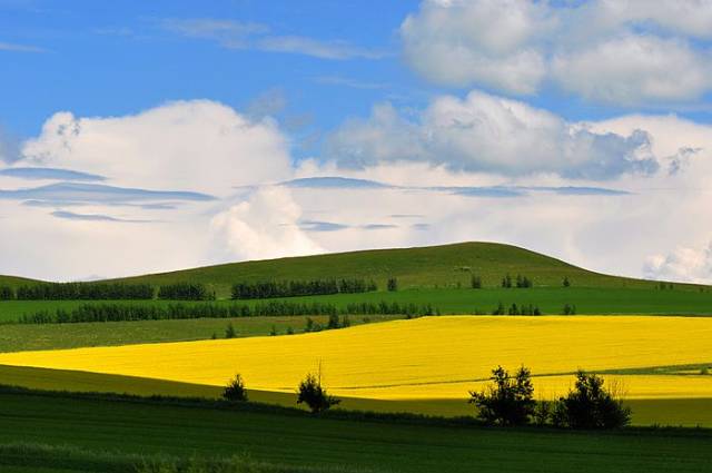 什么时候去内蒙古旅游比较好,内蒙古呼伦贝尔大草原在哪里好玩吗?
