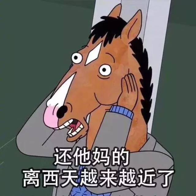 人到中年,就是一部西游记(我竟无言以对)