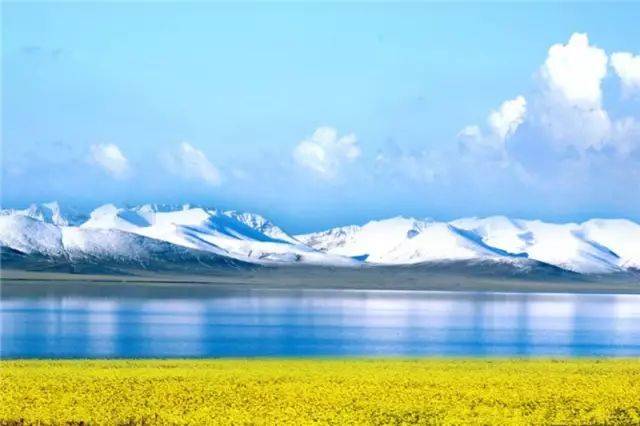 青海湖位于青藏高原东北部,沿途平均海拔2800米,蒙语"库库诺尔",意为"