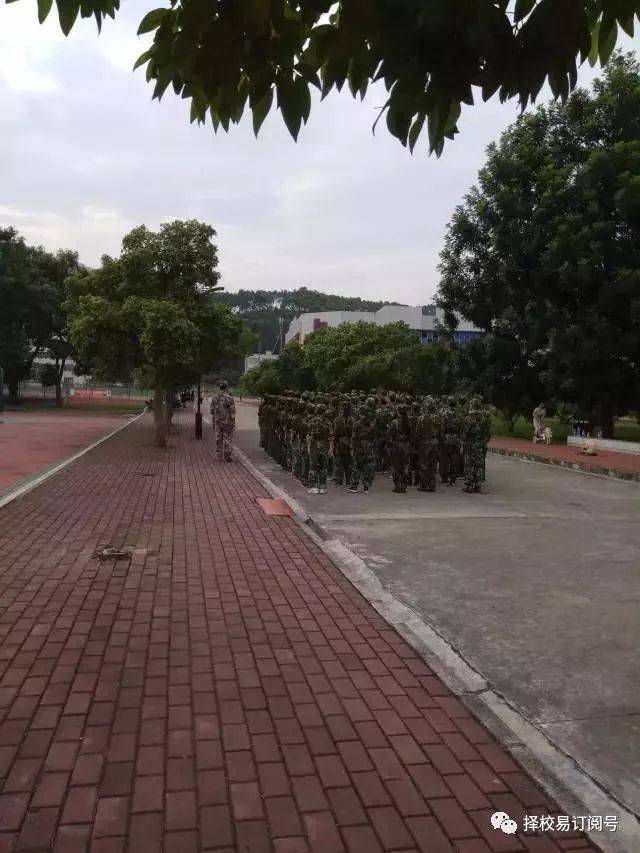 专科院校介绍52 | 广东茂名幼儿师范专科学校,学高为师,身正为范