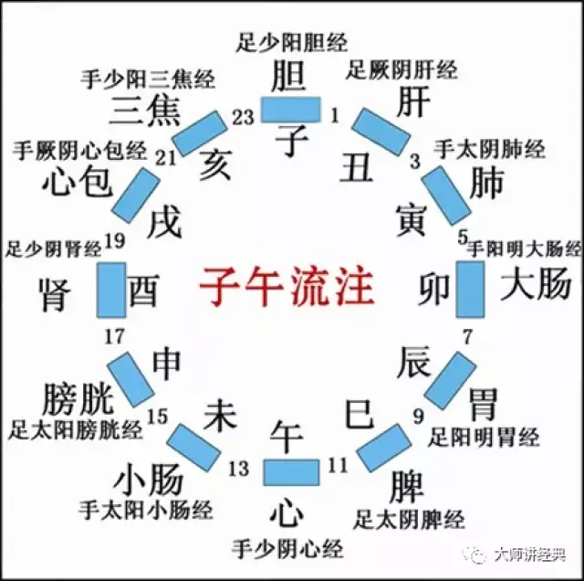 与五脏是指五个功能活动系统一样,这里的十二经,也是指包括了经别,经