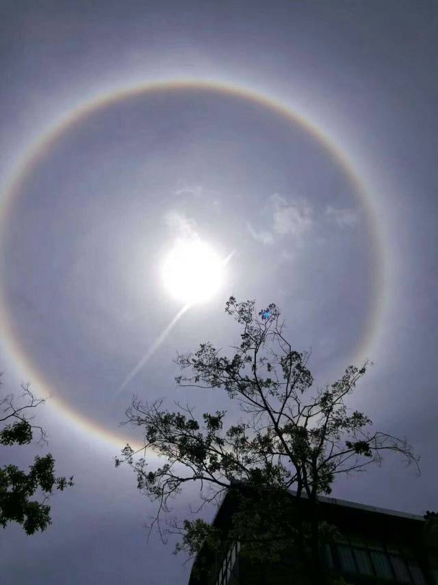 "日晕"是一种自然现象,常出现于春夏季节,因色调绚烂如彩虹,也称为"