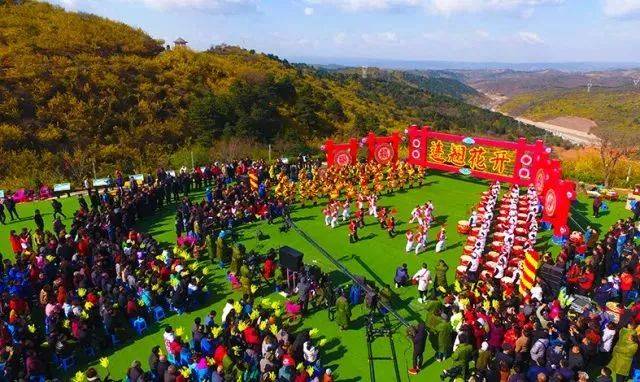 连翘花开:cctv-7《乡村大世界》走进安泽县黄花岭景区