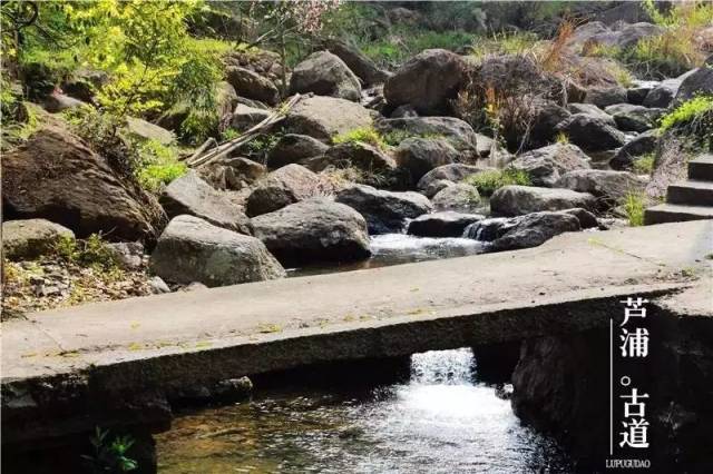 芦浦古道:夸不完的美好景色,我们道上细说