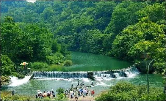 隆安龙虎山观猴,金穗生态园,布泉河风景