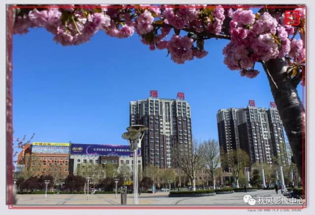 禹城的糖城广场,已美成了这样