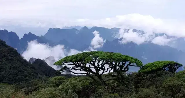 头条| 这20个广西旅游胜地,将霸占你四月所有的假期!