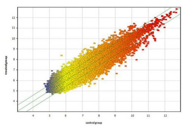 spss 人口_spss人口金字塔图