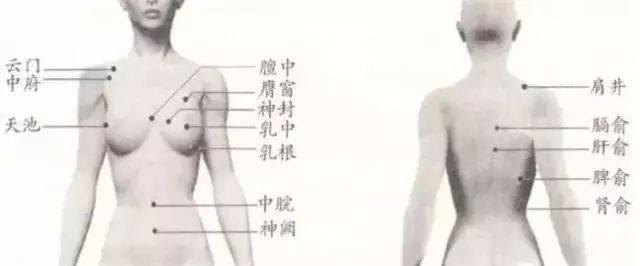 家政进阶!催乳手法及穴位附图详解