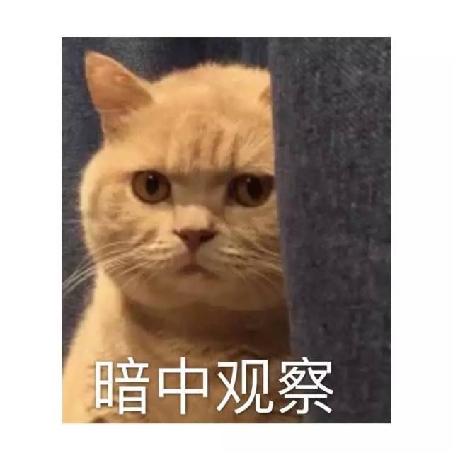 微信使用"新姿势",教你在国外傲视所有戏精!