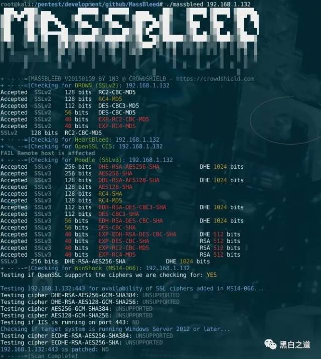 MassBleed - SSL漏洞扫描器
