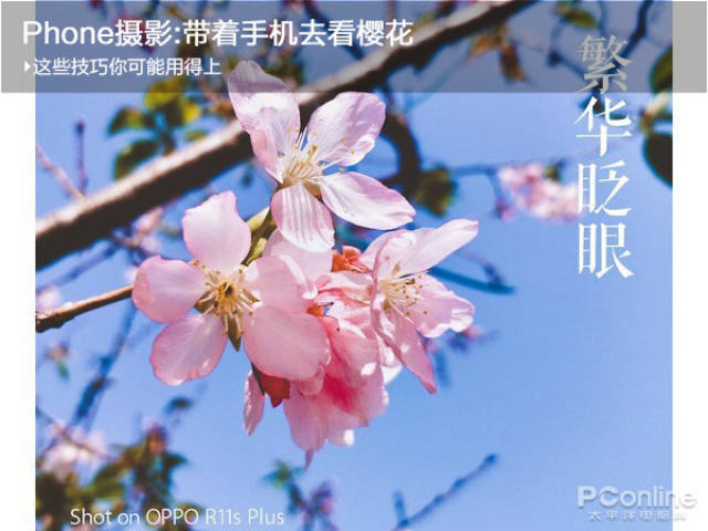 phone摄影:带着手机去看樱花 这些技巧你可能用得上