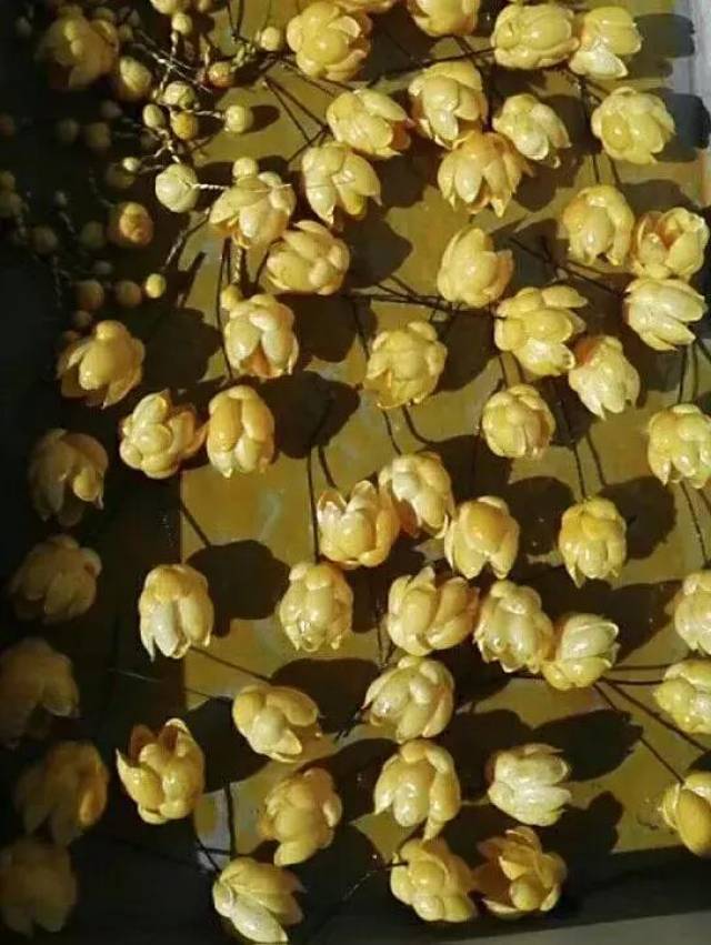 她是97年的活泼女孩,也是"枯燥"的扬州通草花制作技艺的守艺人