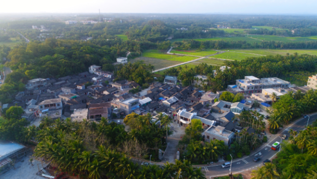 央视记者走访博鳌南强村:田园一小镇 世界大舞
