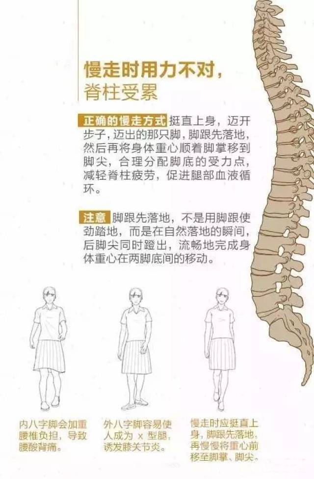 脊柱是人体第二生命线,加班族,手机党统统用得上!别等老了再后悔!