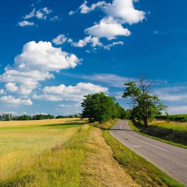 曝光！中山15家食品药品企业被处罚！有的你常去