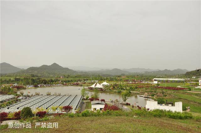 巴中清江镇巾字村七彩产业园带你走进最美春天