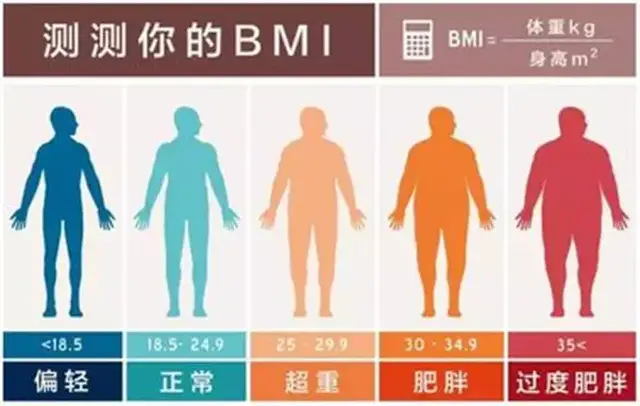 薄荷爱瘦身app_薄荷爱瘦身bmi什么意思_薄荷爱瘦身bmi什么意思