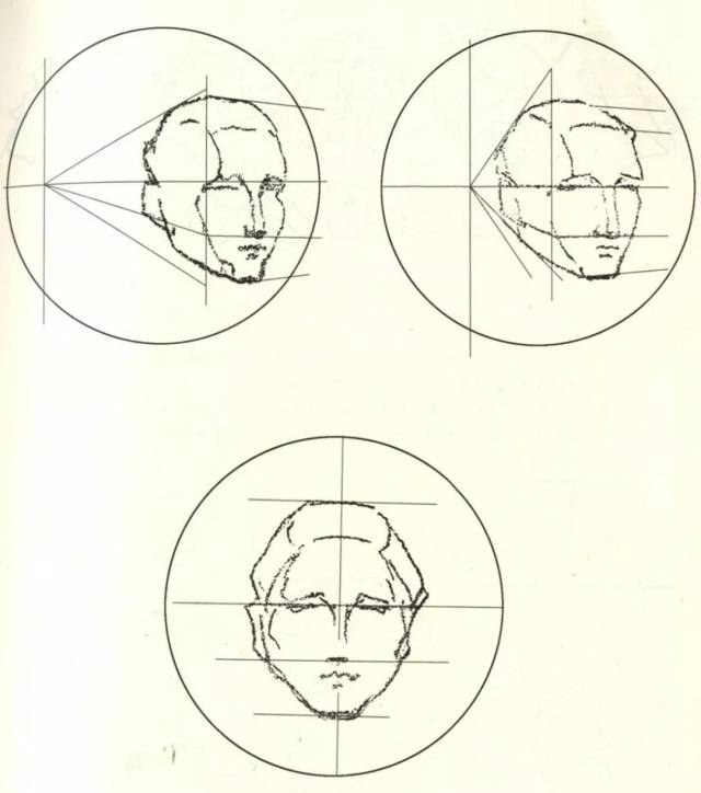 【头部基础教学】头骨及头部透视变化规律!