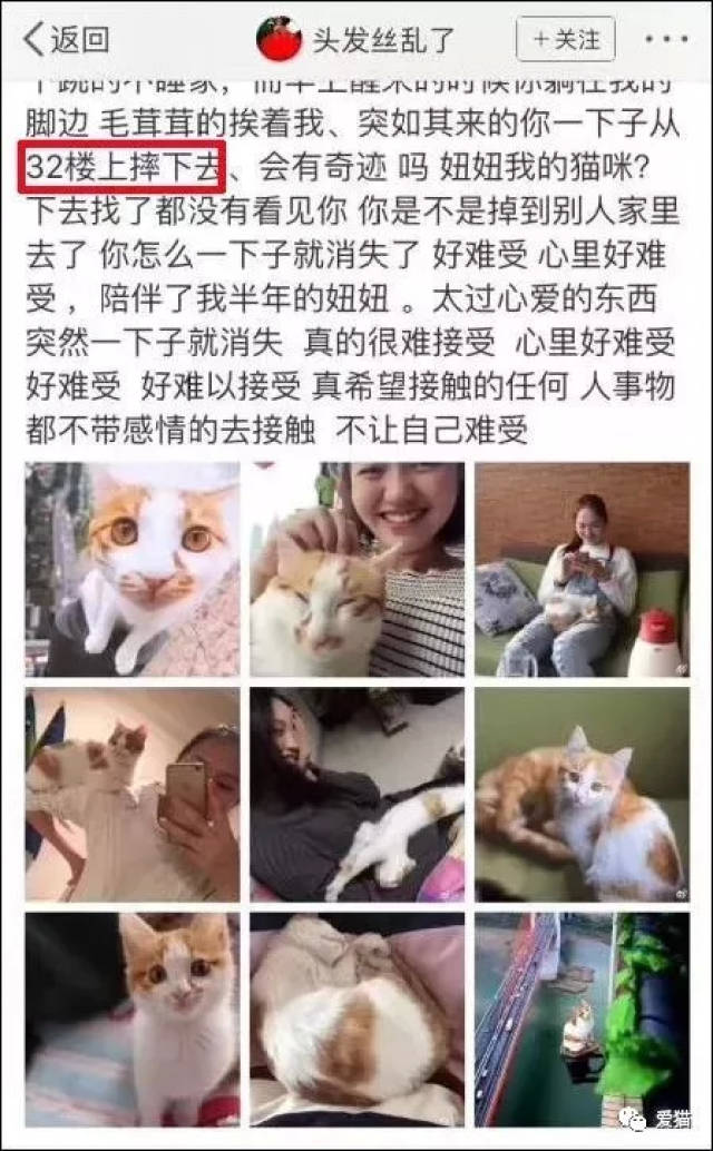 快手有未成年孕妈,抖音有虐猫为乐的恶整,都是渣!