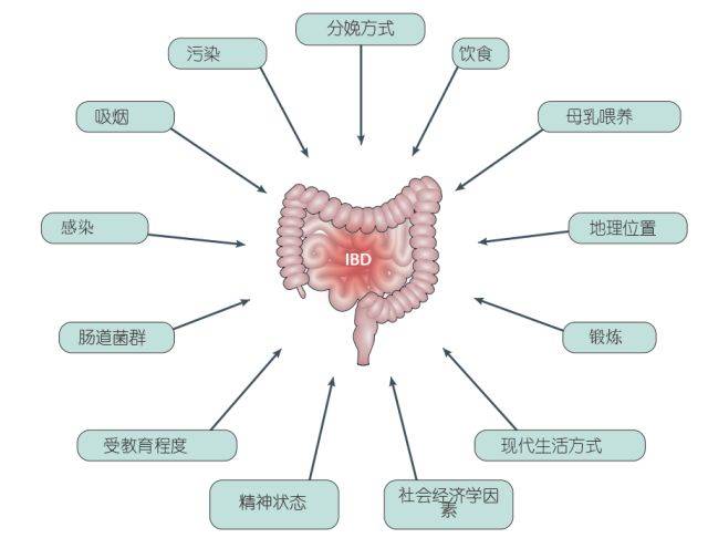 【瑞金营养】炎症性肠病离我们有多远?为什么要重视营养治疗?