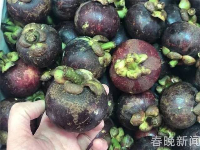 最便宜的水果价格表 aa7c65a36c574bfebd5096717f7a2ff4.jpeg