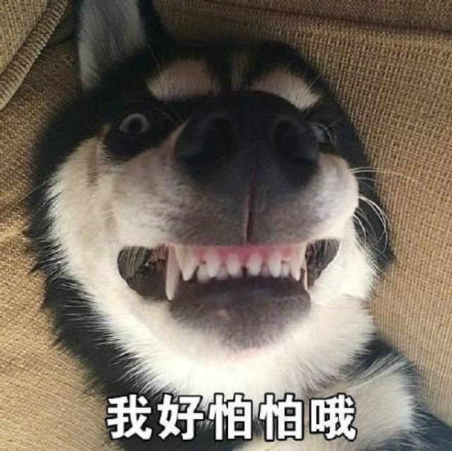 我好怕怕哦