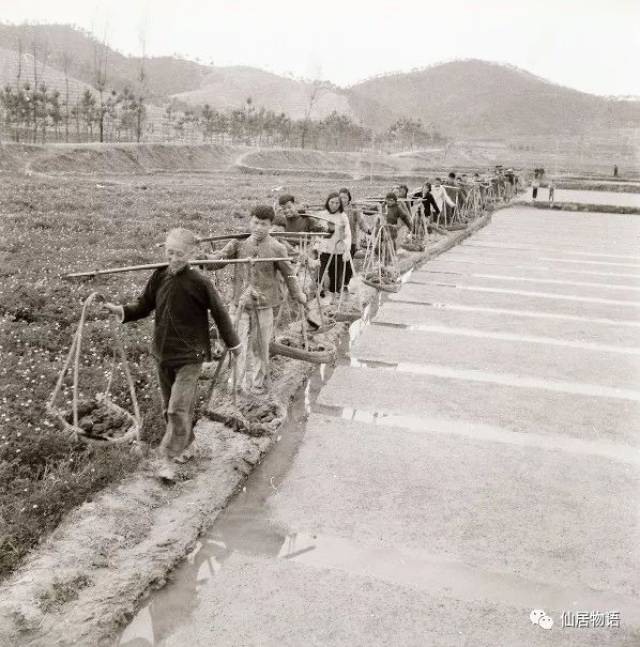 仙居老照片:提前怀旧之农耕生产-旅游频道-手机搜狐