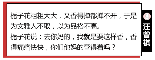 十二星座小姐姐都代表什么花?这种匹配简直准到发光