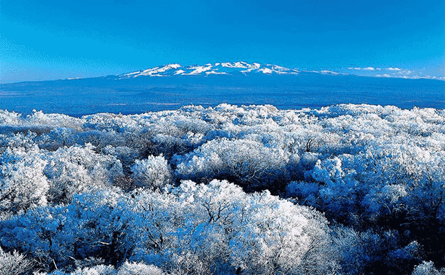 千年积雪万年松,直上人间第一峰!这就是长白山