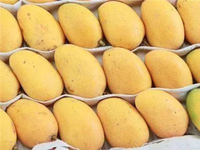 最便宜的水果多少钱一斤 f2bdc603dcbd466fbb3defd31eff1acf.jpeg