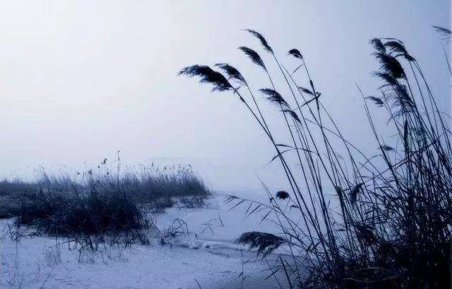 热点导写|《中国诗词大会3》开场白:这是诗词比