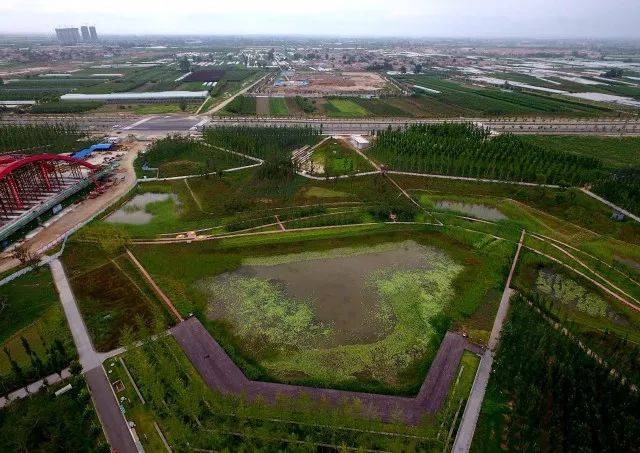 ▼ 沣西新城中心绿廊:具有调蓄雨洪,防风固沙,净化空气,收集雨水,涵养