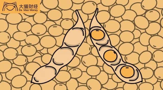 餐桌贸易战|为啥我国偏偏选了给美国大豆加关