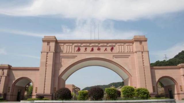 广东医科大学,广东医科湛江,韶关学院,广东技术师范学院河源校区,嘉应