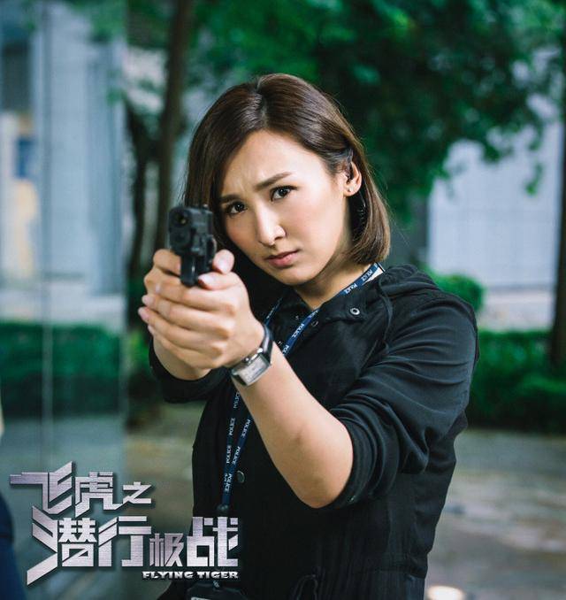 飞虎之潜行极战(1-30)在线剧情分析.