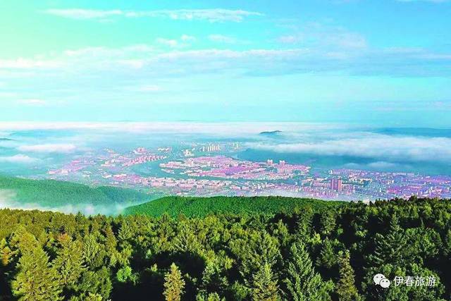 伊春○金山屯▏today,有位"大咖"将要探寻小兴安岭大森林的奥秘!