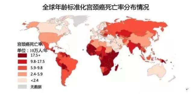 全球每年宫颈癌新发病例约53万例,造成约27万例死亡,主要疾病负担集中