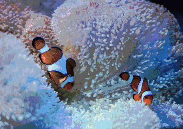 9=2大1小开启探秘海洋生物秘密奇幻之旅~学习互动两不误