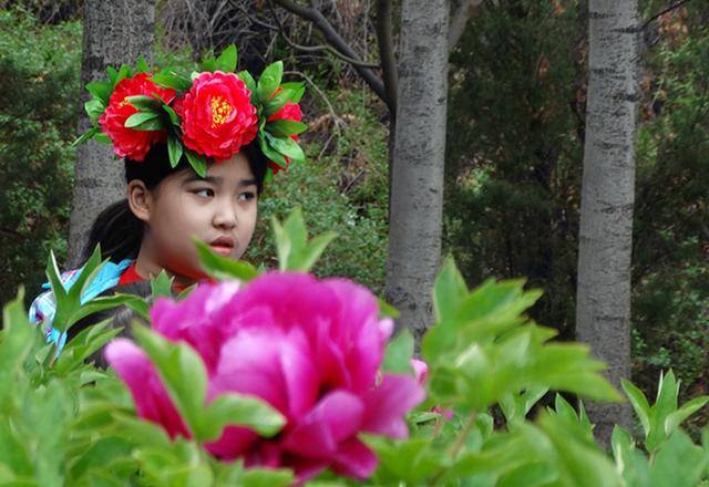 满园的牡丹花,美丽的牡丹花环相映更美,戴牡丹花环的女士,也