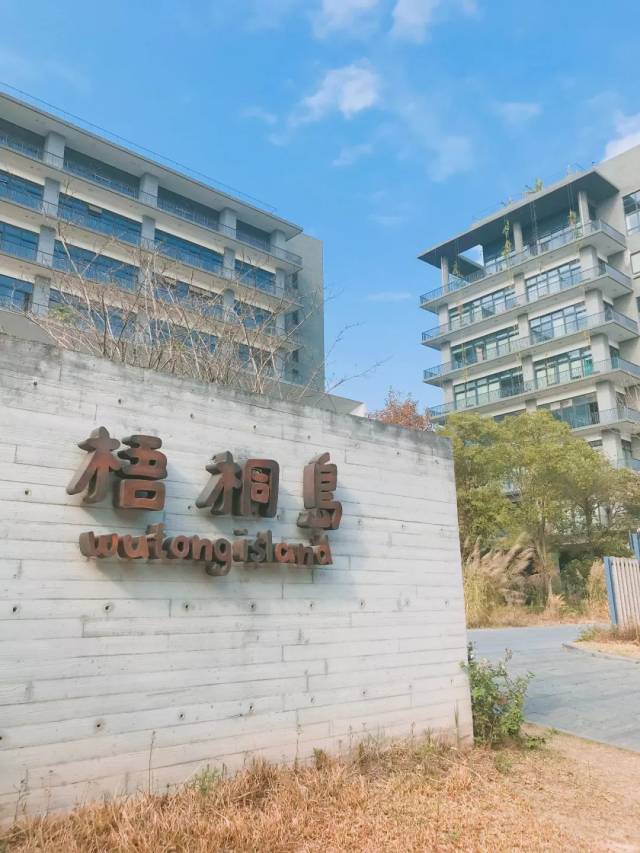 梧桐岛