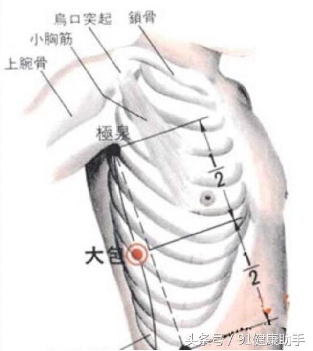 穴位养生|胸肋满痛,气喘,消化不良,四肢无力按大包 行