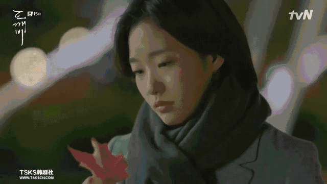 孤独又灿烂的神-鬼怪