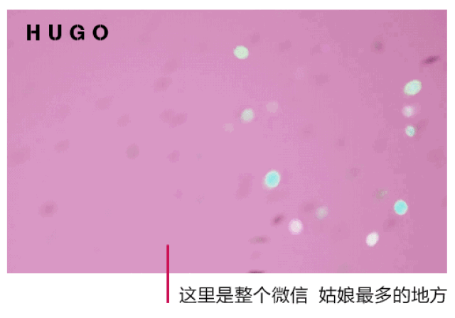 看着朋友圈里千篇一律的45 度 角,鼓脸颊,半嘟唇,果姐笑了,今天让你们
