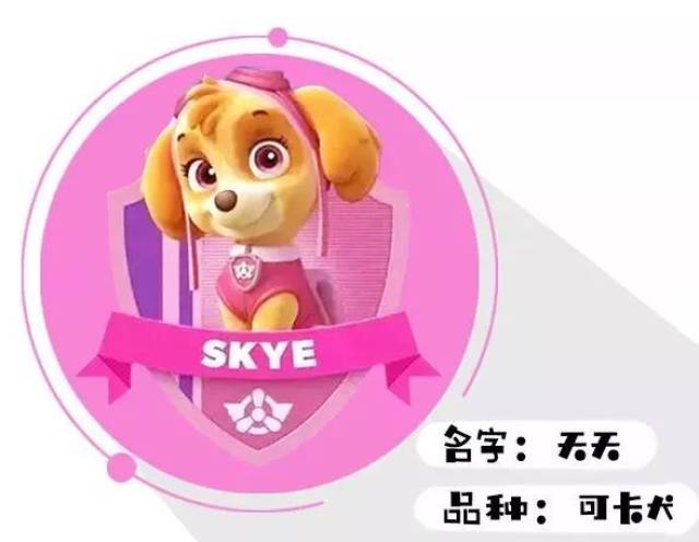 打败小猪佩奇,晋升宝宝圈第一网红的汪汪队,到底好在哪里