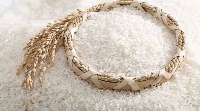 米粒呈 长椭圆形或细长型,颜色多 白色透明,晚籼米质量比早籼米更好