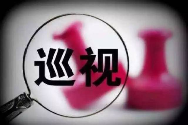 巡视